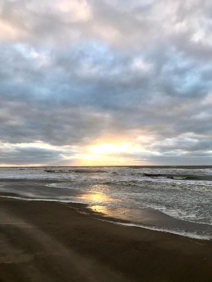 Hotel Hippocampus Aan Zee Katwijk aan Zee Exteriér fotografie